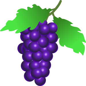 http://www.clker.com/cliparts/6/8/0/7/11971257911435800368stuuf_grapes.svg.med.png