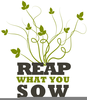 Reap What You Sow Clipart Image