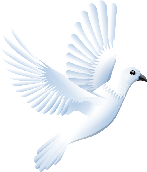 free dove clipart black and white - photo #43