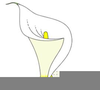 Simple Tulip Clipart Image