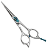 Hair Cutting Scissors Image