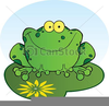 Happy Frog Clipart Free Image