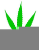 Free Weed Clipart Image