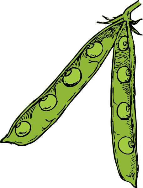clipart of green beans - photo #43