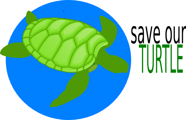 clipart turtle free - photo #39