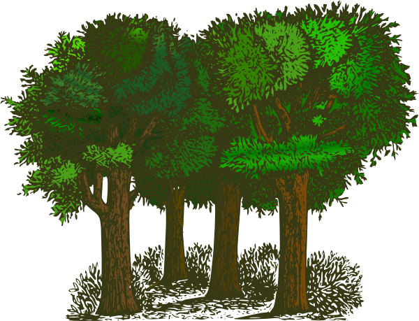 clipart images of a tree - photo #37