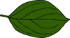 Darker Green Oval Leaf Clip Art