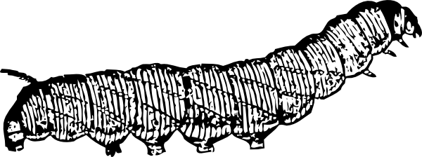 Caterpillar clip art