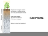 Soil Profile Clipart Image