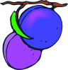 Plums Clip Art