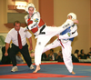 Taekwondo Back Kick Image