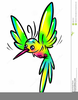 Animated Hummingbird Clipart Image
