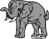 Elephant Clip Art