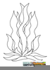 Kelp Coloring Pages Image