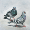 Pigeon Painting Image