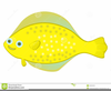 Flounder Clipart Free Image