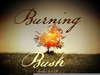 Moses Burning Bush Image