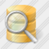 Icon Database Search Image