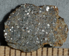 Metallic Meteorites Image