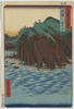 Echigo Image