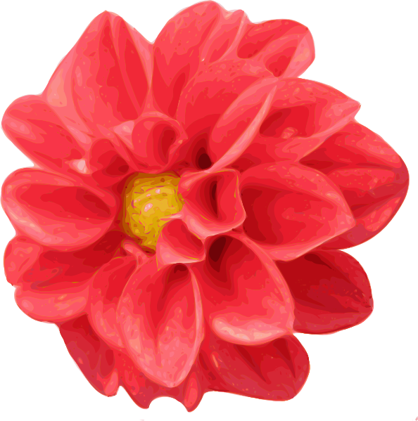 clip art dahlia flowers - photo #37