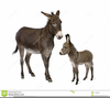 Clipart Donkeys Image