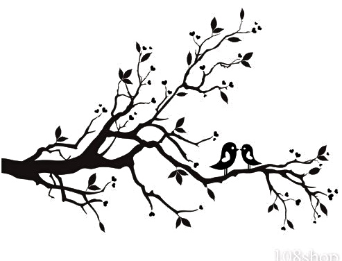 Vinyl Wall  on Blossom Branch Bird Vinyl Wall Decal Wd F Image   Vector Clip Art