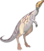 Compsognathus Clip Art