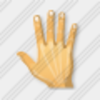 Icon Hand Image