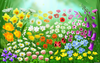 Spring Animations Clipart Image