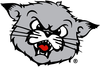 Bearcat Mascot Clipart Image