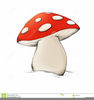 Clipart Mushrooms Free Image