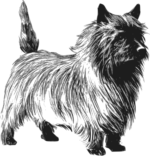 clipart terrier dog - photo #49