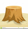 Tree Stump Clipart Images Image