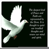 Dove Bible Symbolism Image