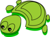 Funny Turtle Clip Art