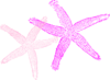 Two Pink Starfish Clip Art