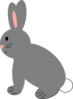 Rabbit Clip Art