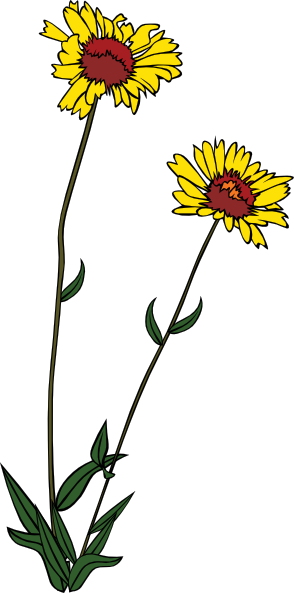 wildflower clip art free - photo #26