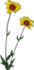 Yellow Wild Flower Clip Art
