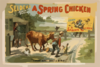 Selden S Funny Farce, A Spring Chicken Clip Art