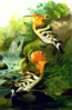 Hoopoe Clip Art