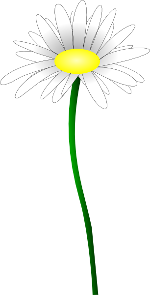 clip art daisy flower - photo #23