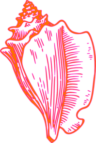 Pink Yellow Conch Shell 2 Clip Art