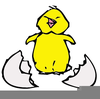 Easter Chick Clipart Image