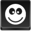 Ok Smile Icon Image