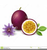 Passion Fruit Clipart Image