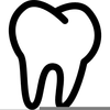 Wisdom Tooth Clipart Image