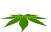 Hippy Healing Logo 4 Clip Art
