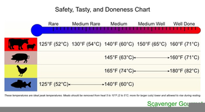 Meat Thermometer Chart Image
